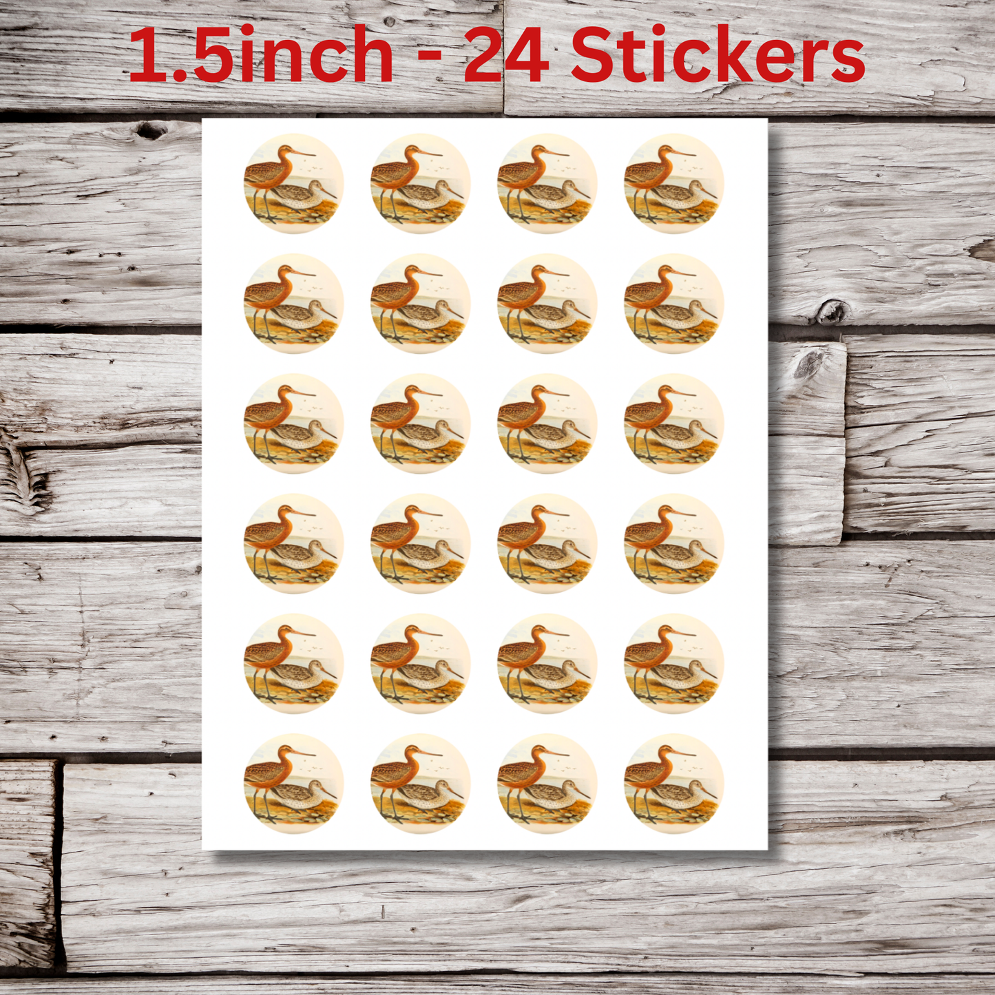 Bar Tailed Godwit Circle Sticker Sheet