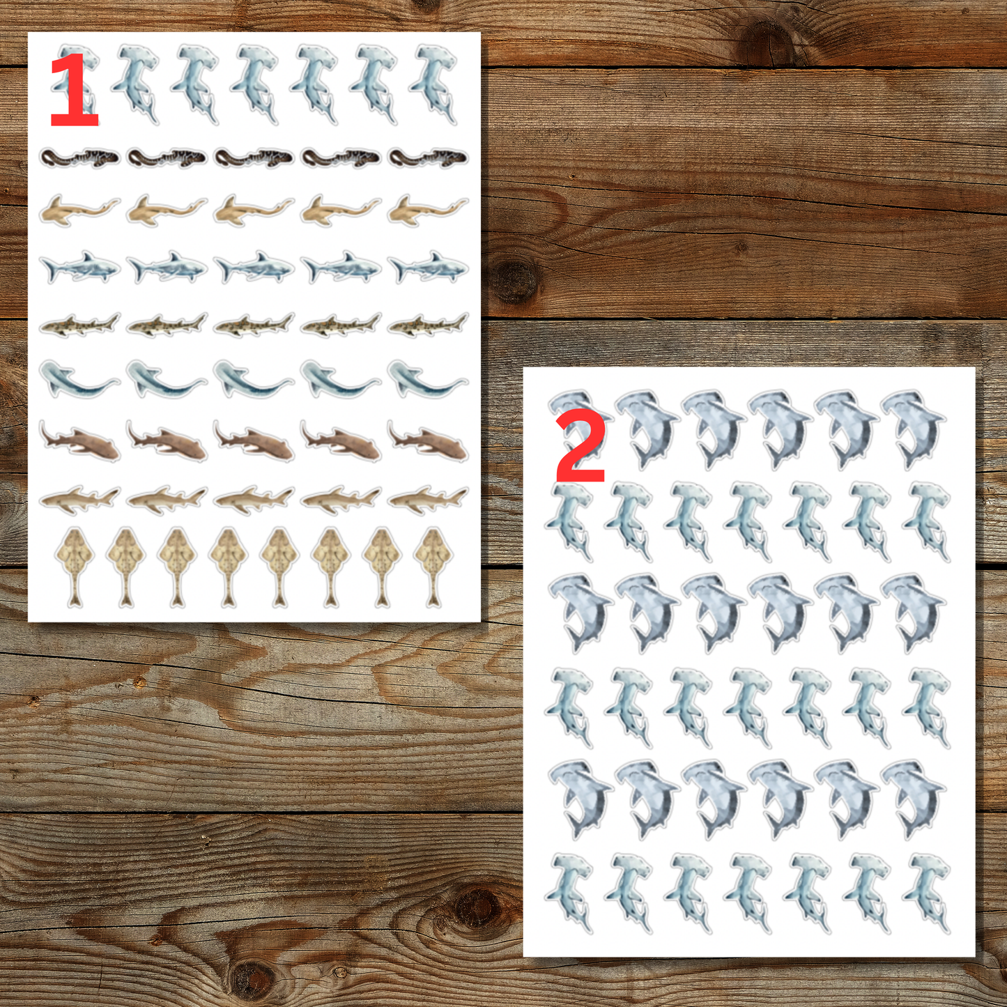 Shark Sticker Sheet