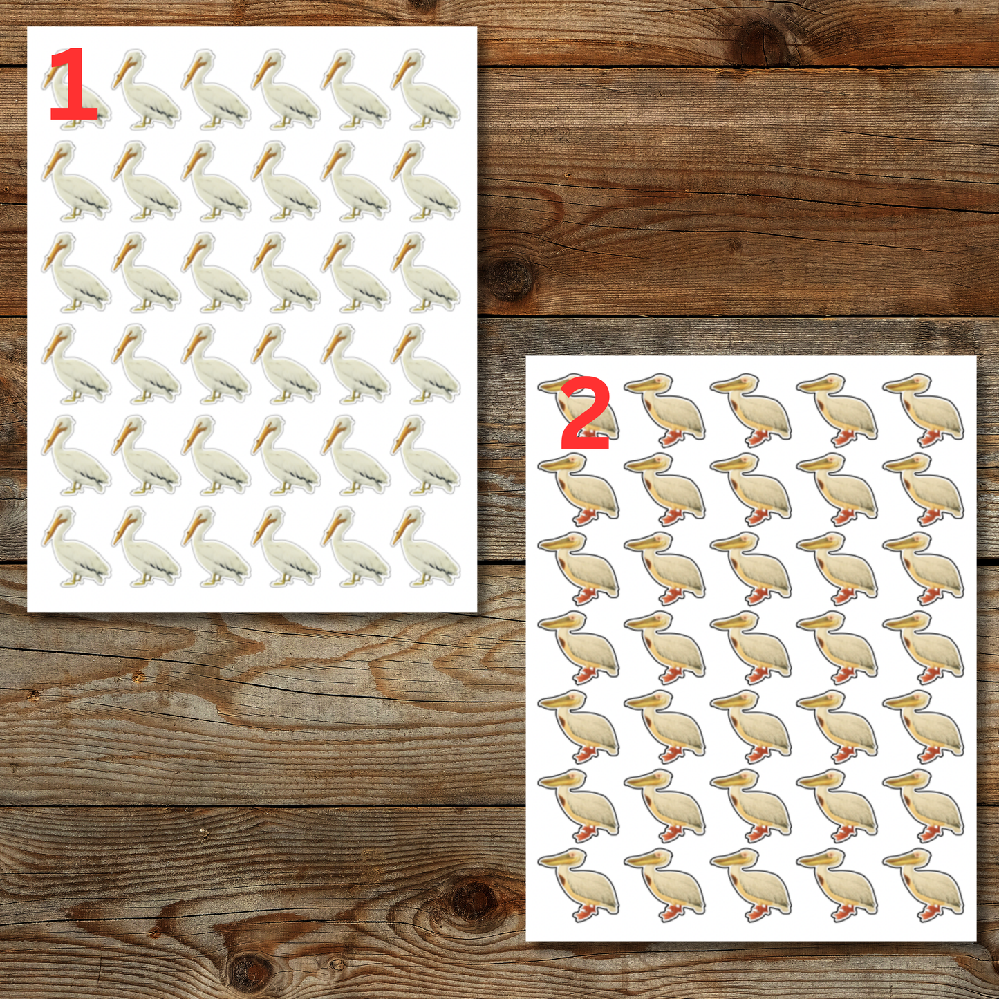 Pelican Sticker Sheet