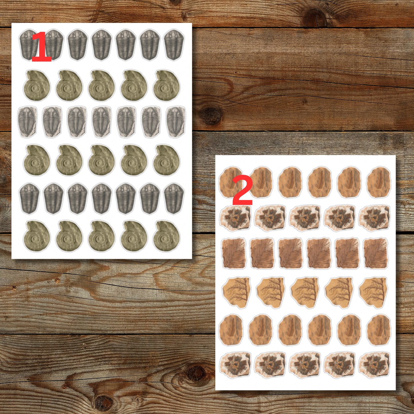 Fossil Sticker Sheet