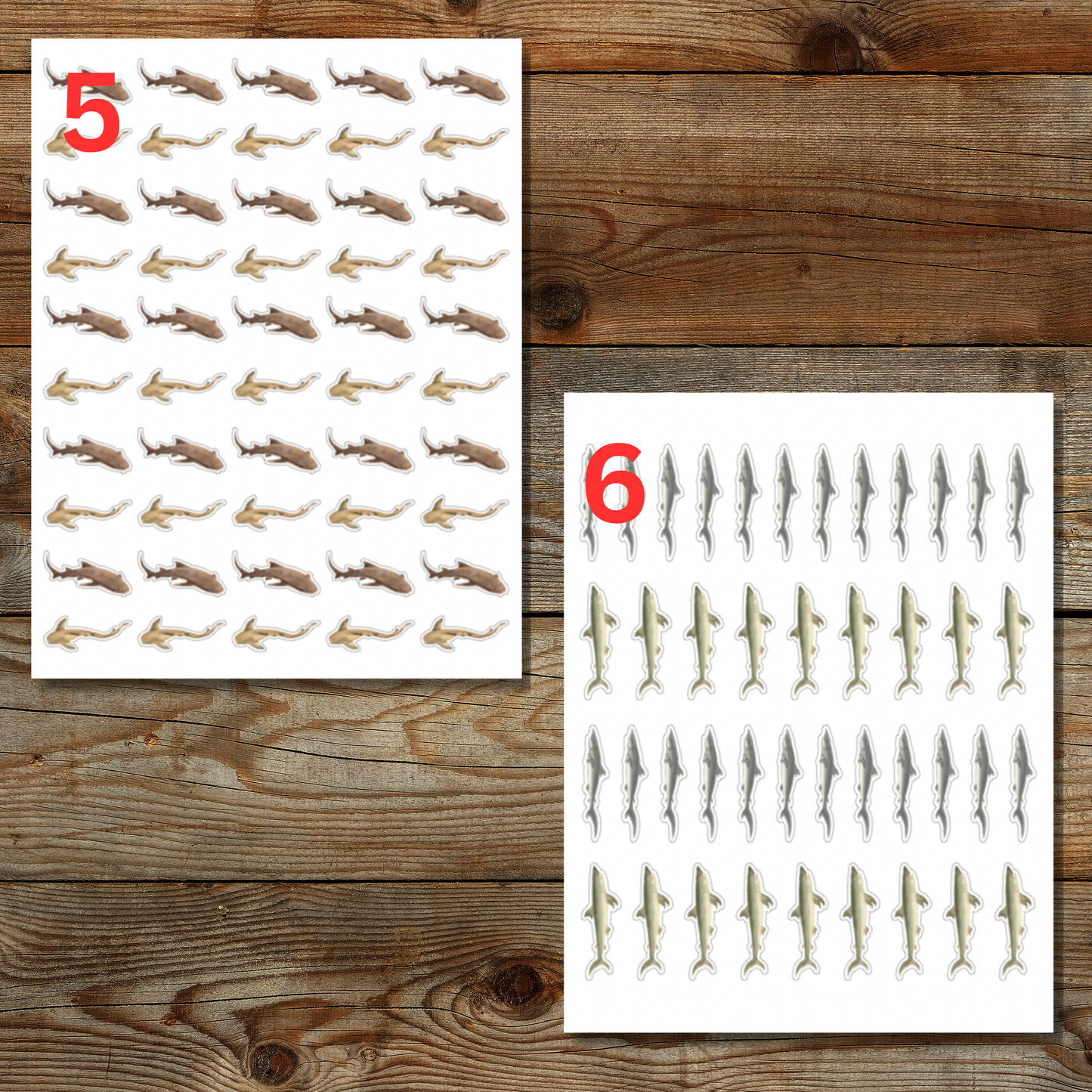 Shark Sticker Sheet