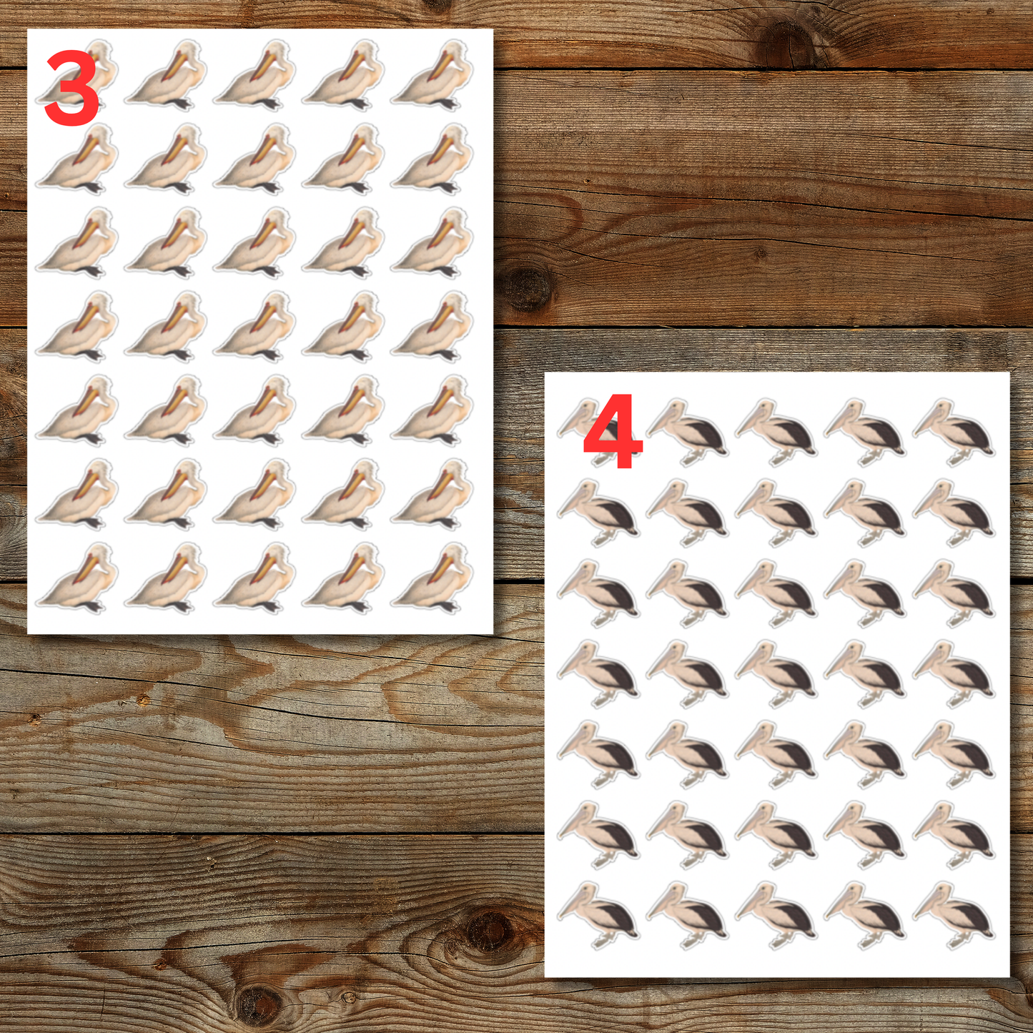 Pelican Sticker Sheet