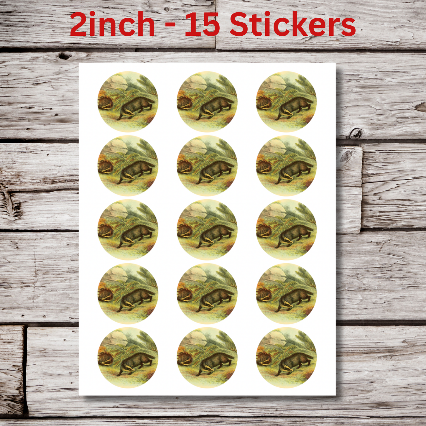 Badger Circle Sticker Sheet