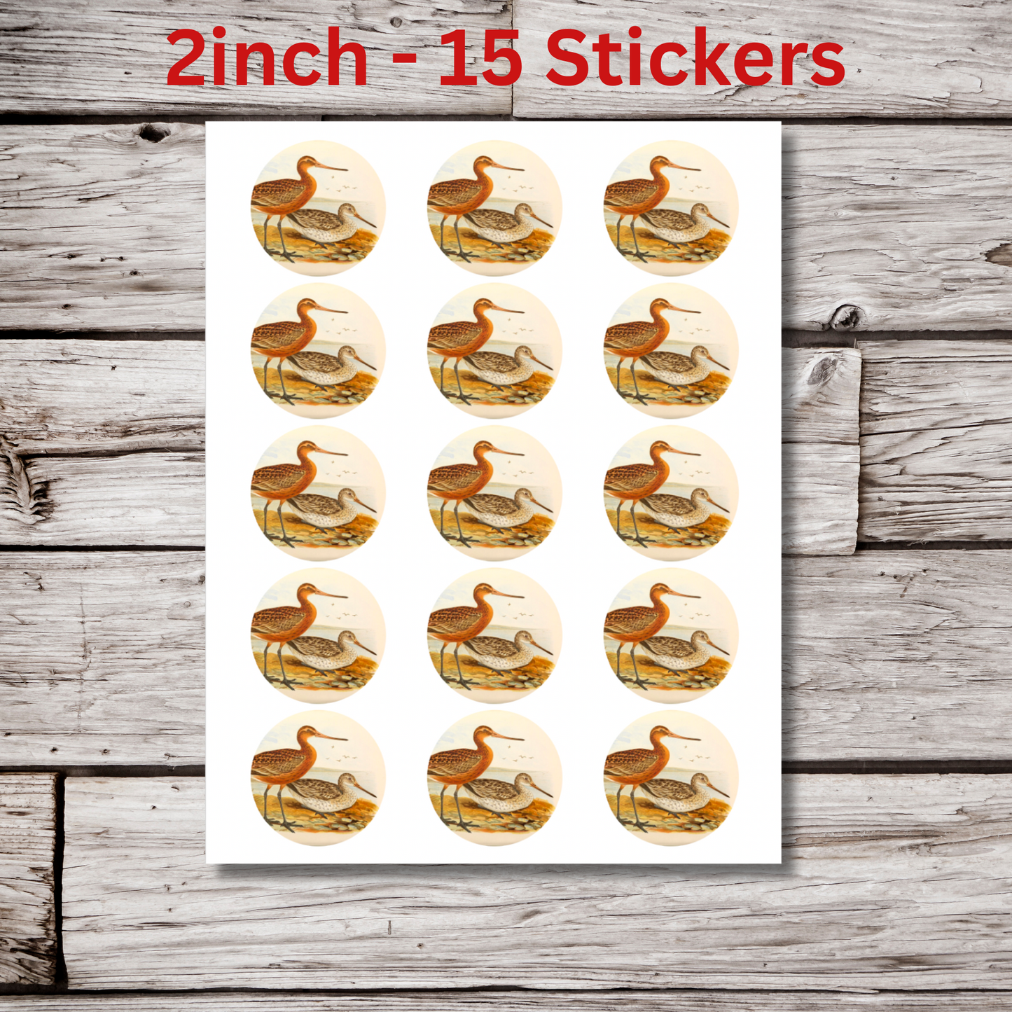 Bar Tailed Godwit Circle Sticker Sheet