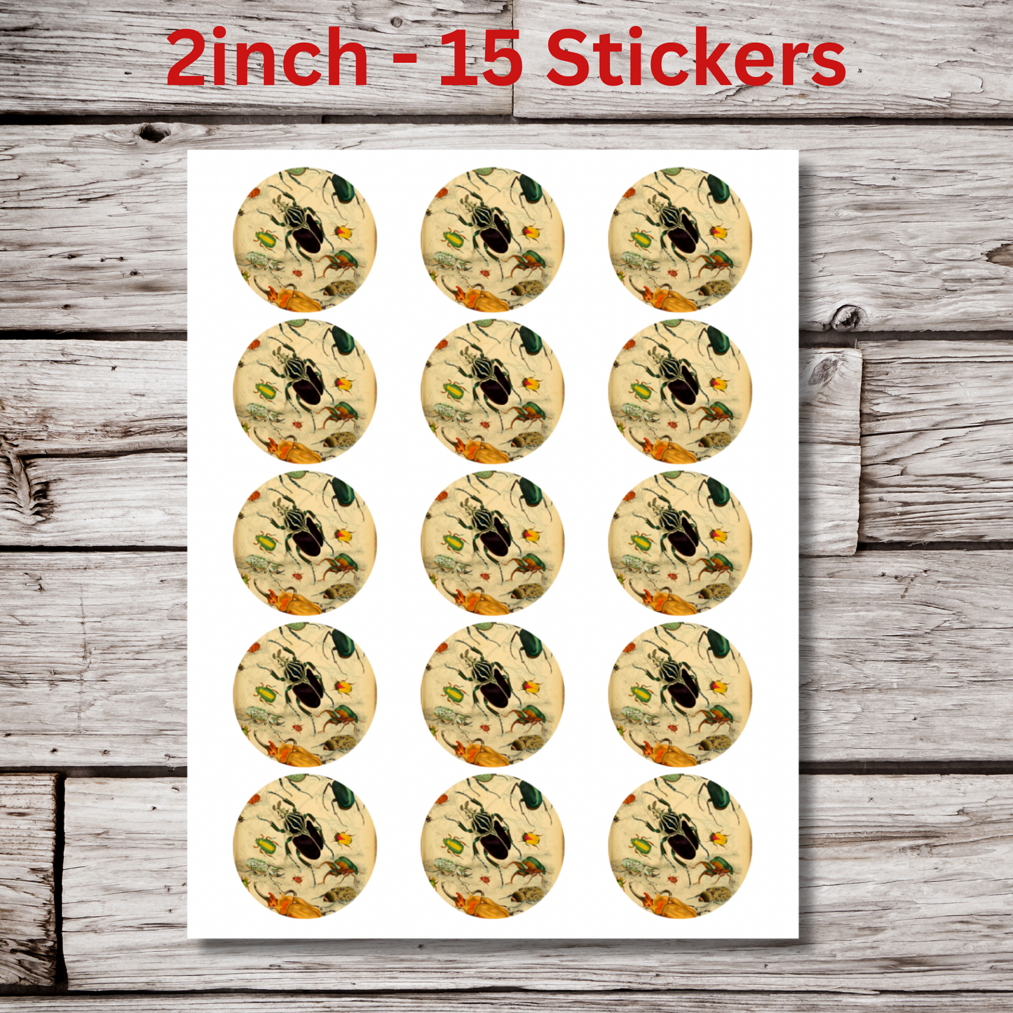 Beetle Circle Sticker Sheet