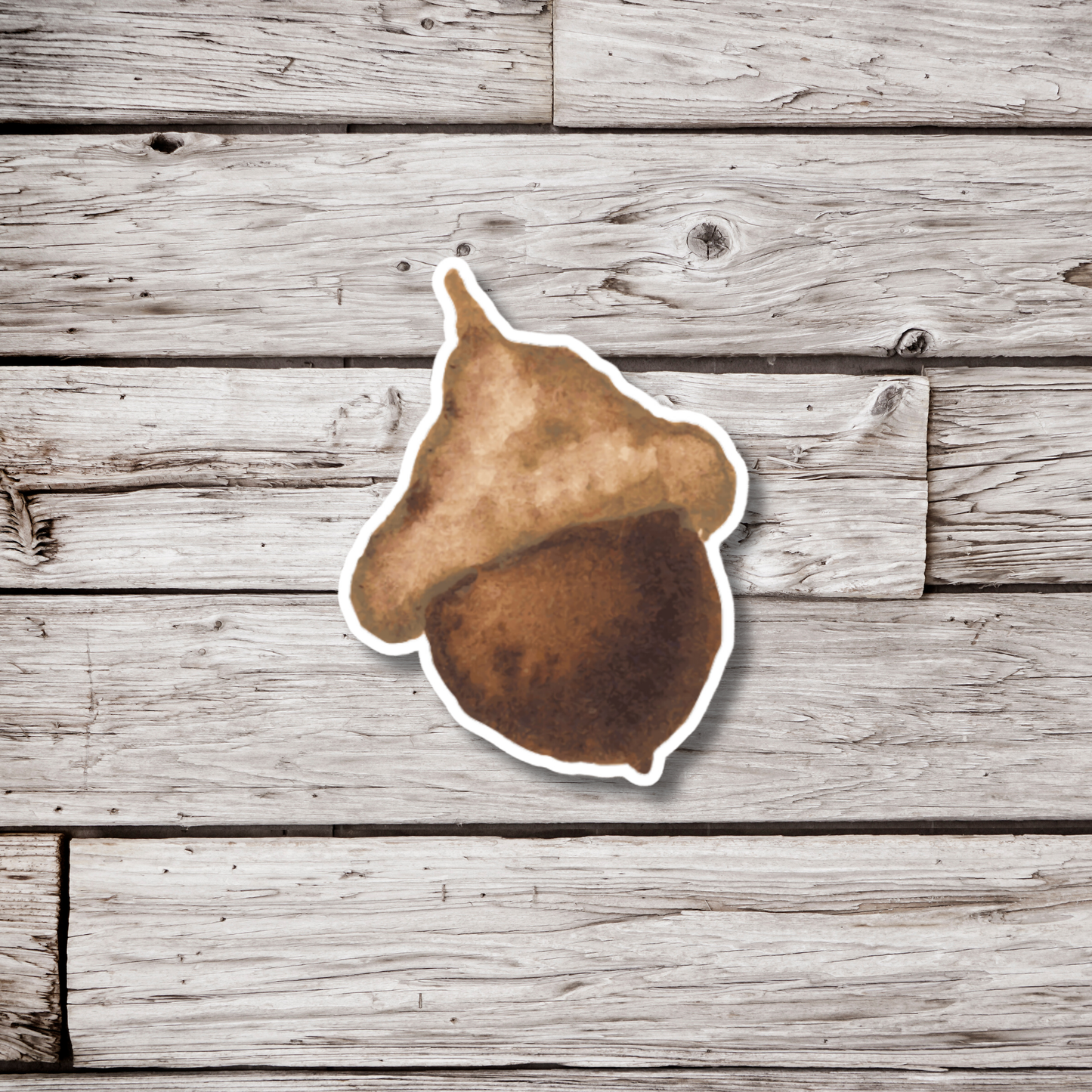 Acorn Sticker