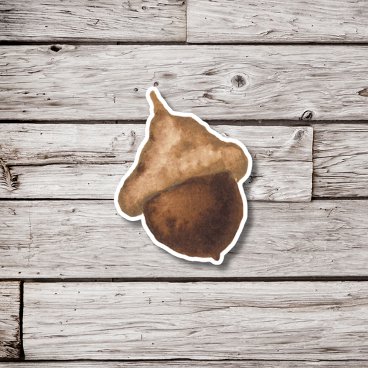 Acorn Sticker