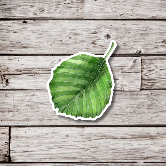 Alder Leaf Sticker