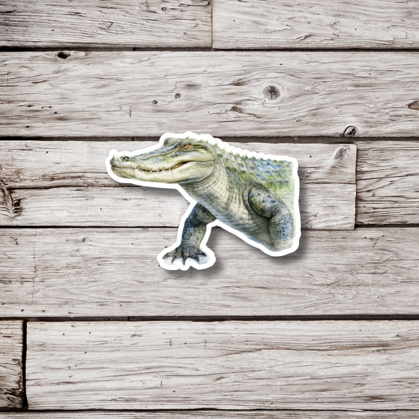 Alligator Sticker