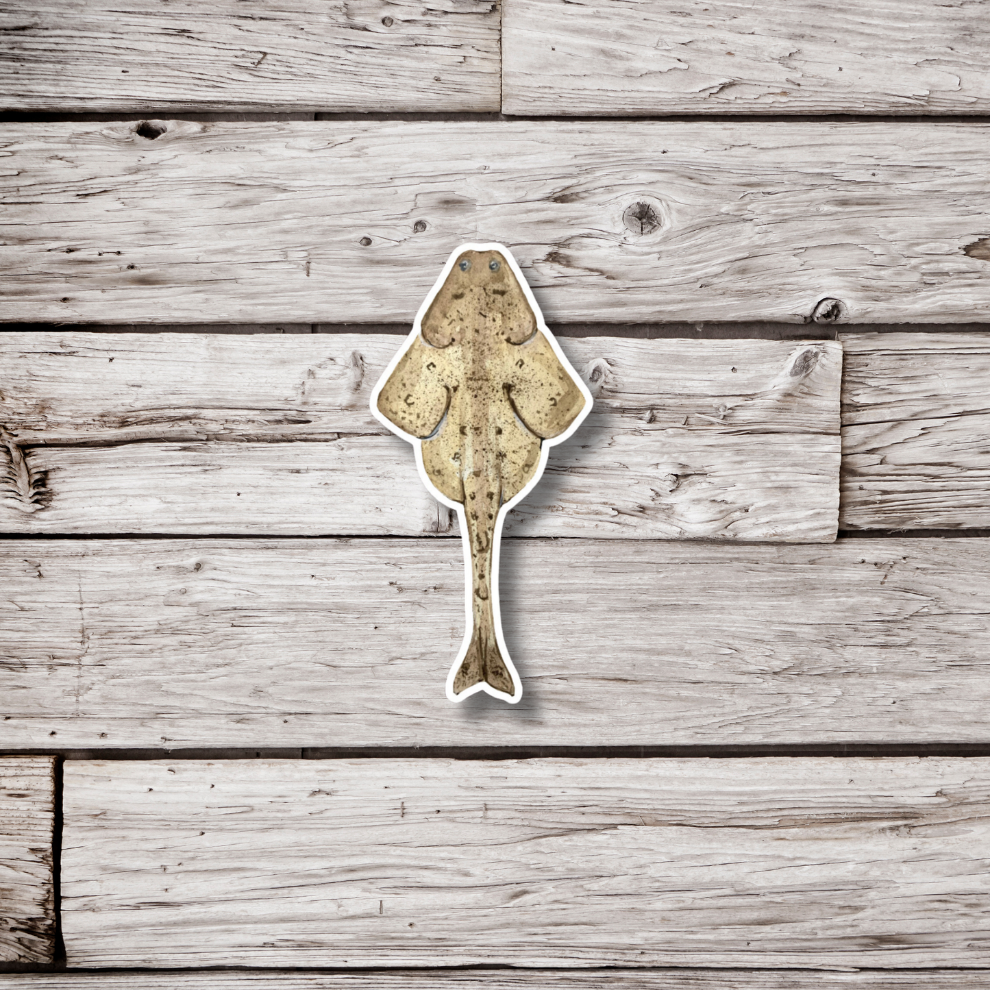 Angel Shark Sticker