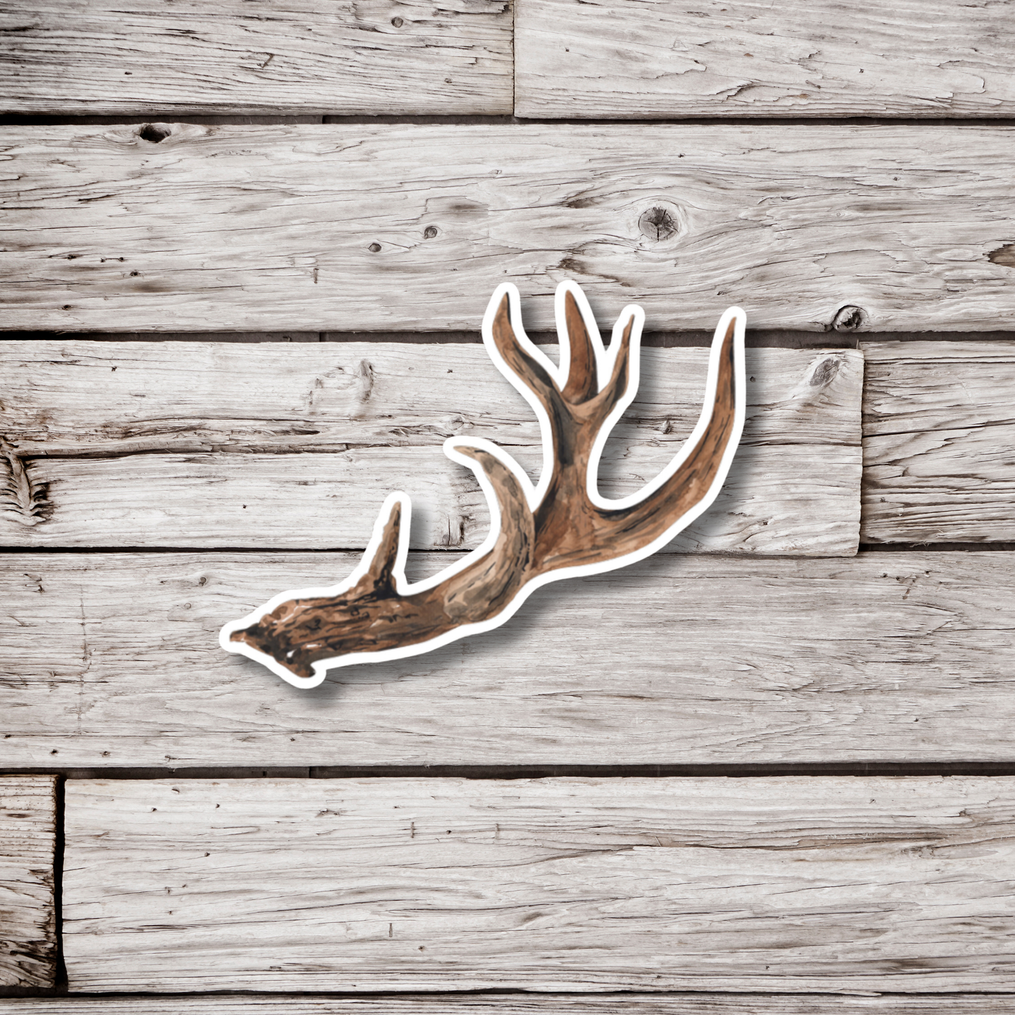 Antler Sticker