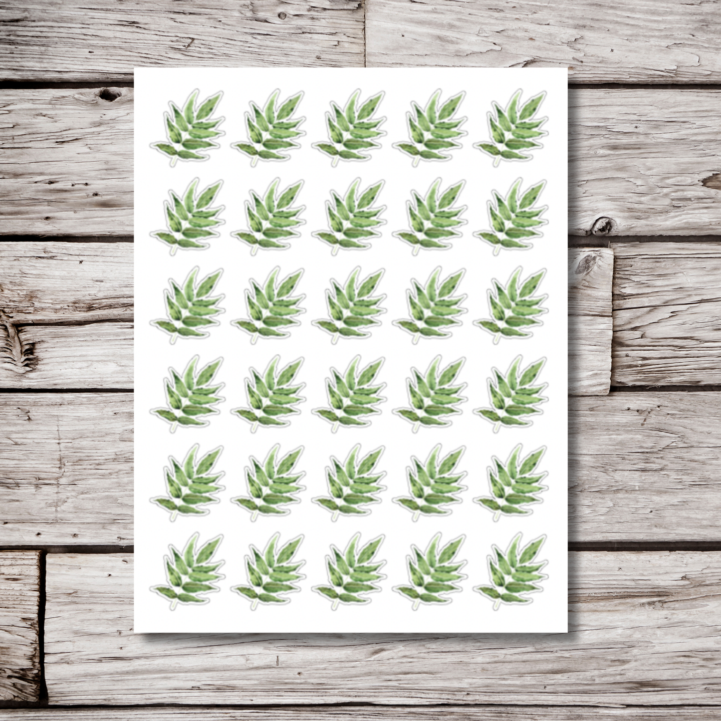 Ash Tree & Leaf Sticker Sheet