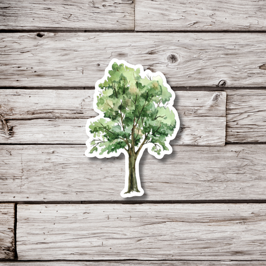 Ash Tree Sticker