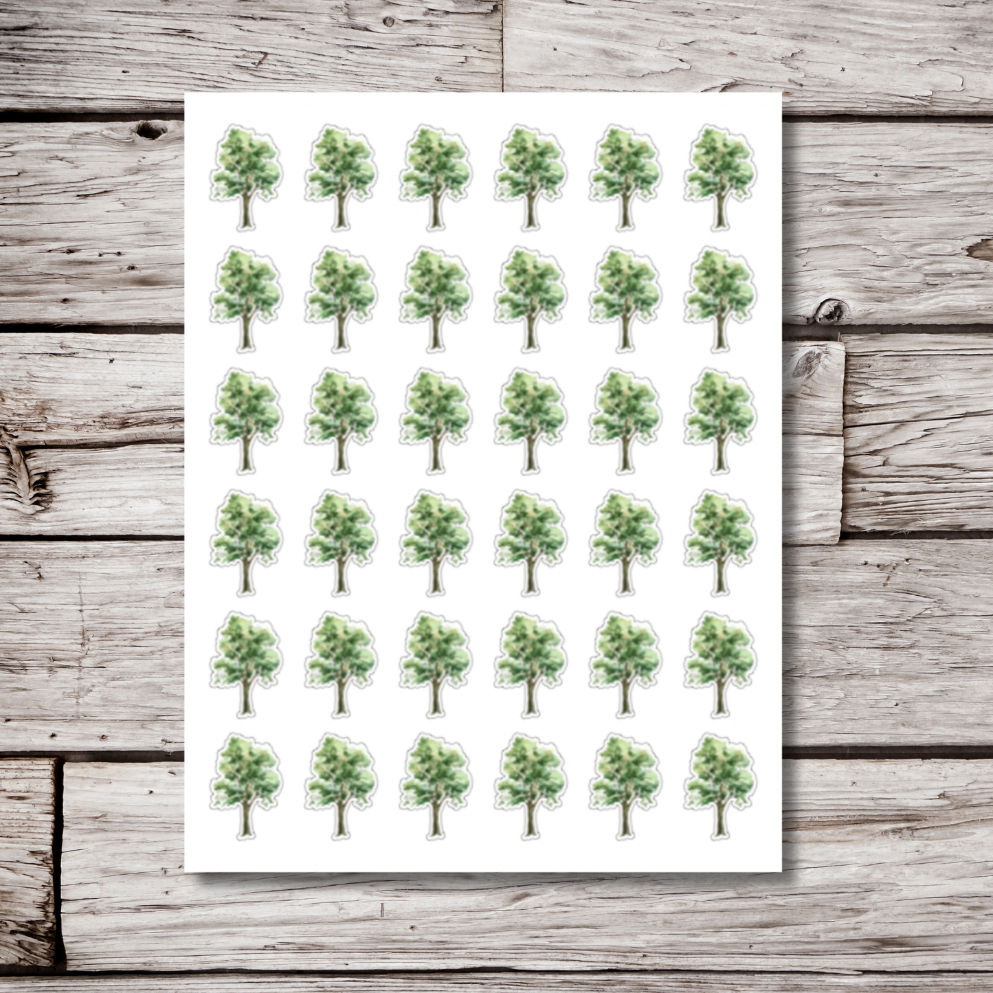 Ash Tree & Leaf Sticker Sheet