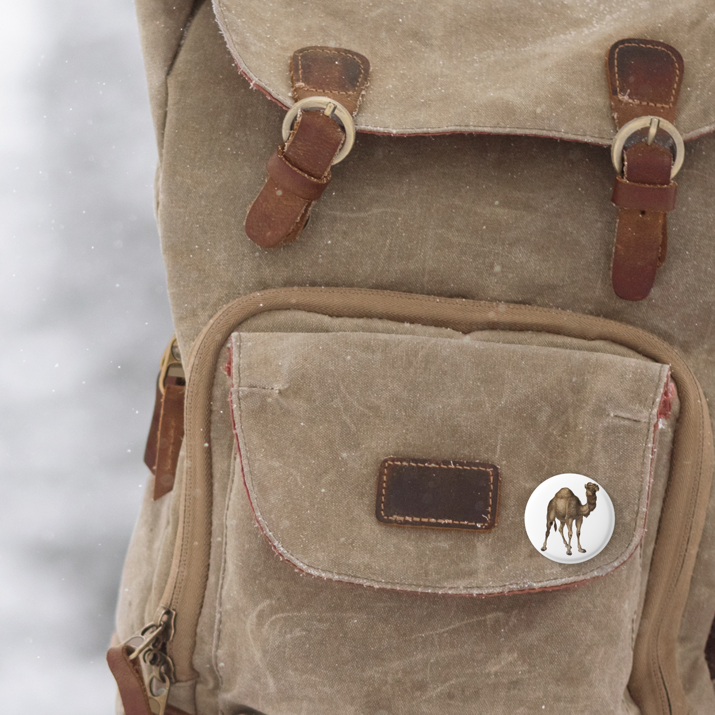 Camel Pin Back Button, Magnet, Keychain