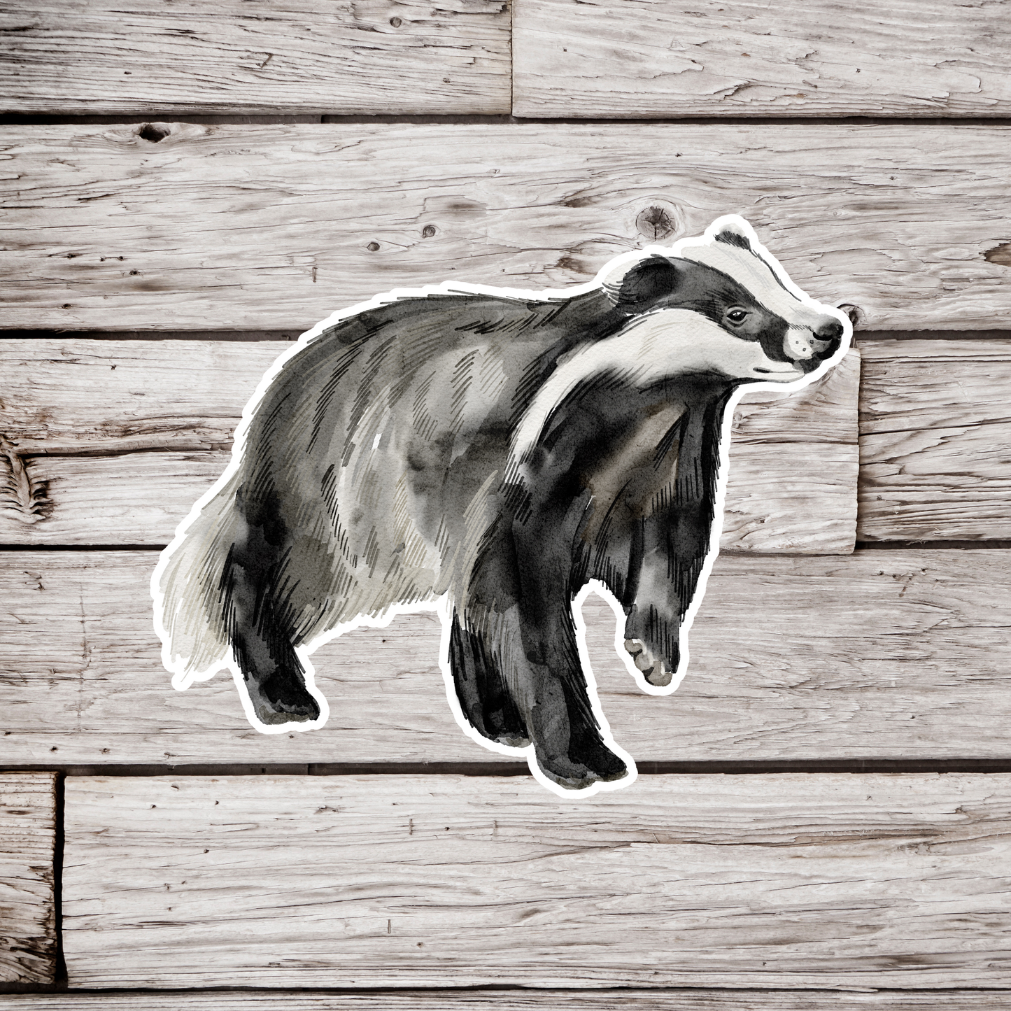 Badger Sticker