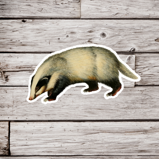 Badger Sticker