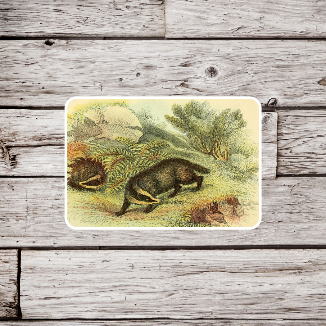 Badger Sticker