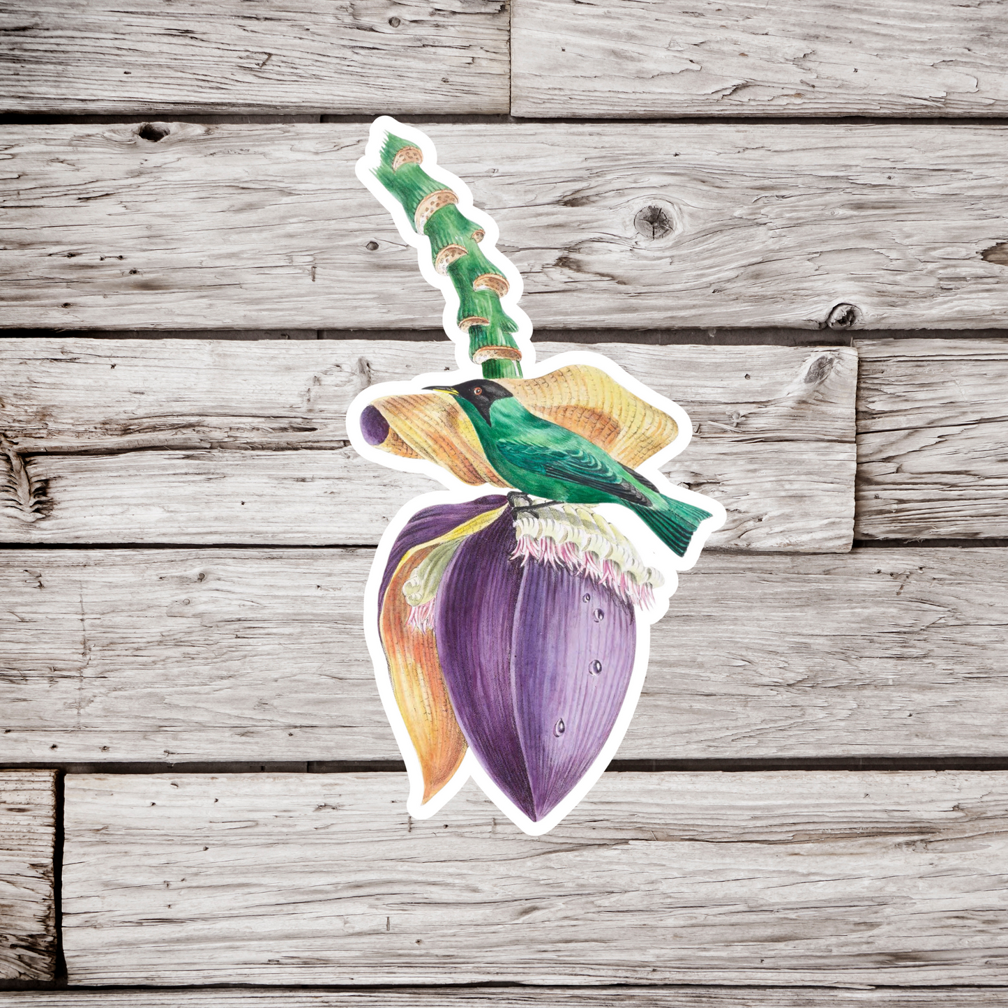 Banana Flower Sticker