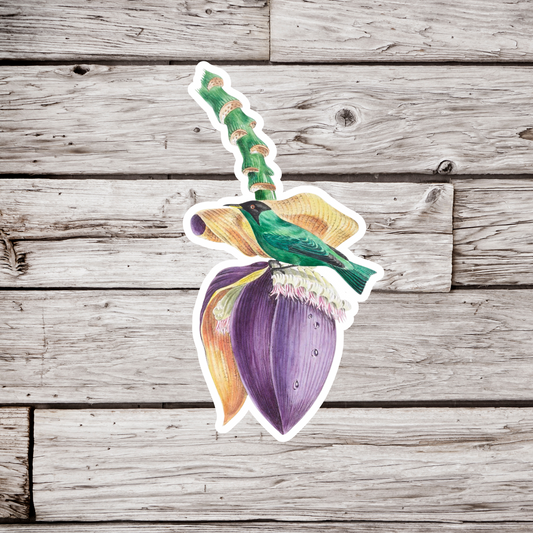 Banana Flower Sticker