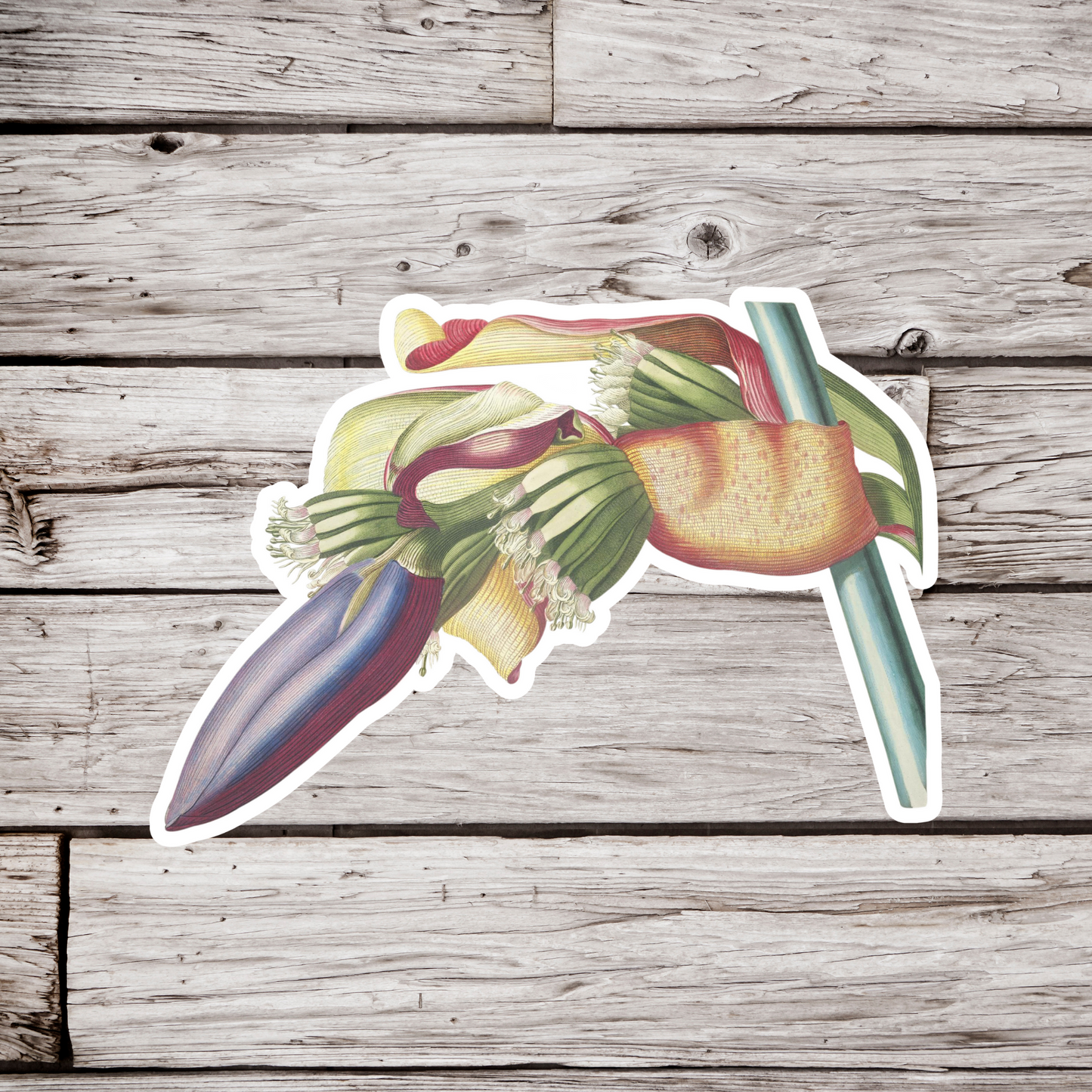 Banana Flower Sticker