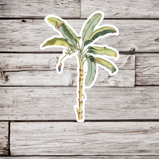Banana Tree Sticker