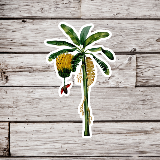 Banana Tree Sticker