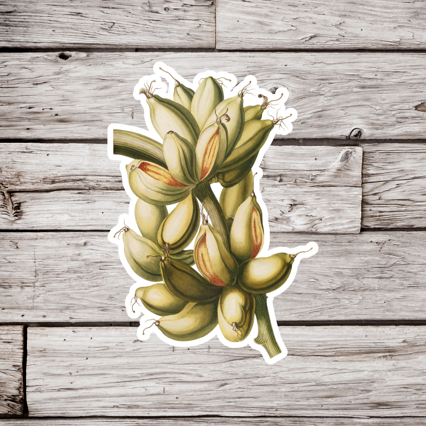 Banana Sticker