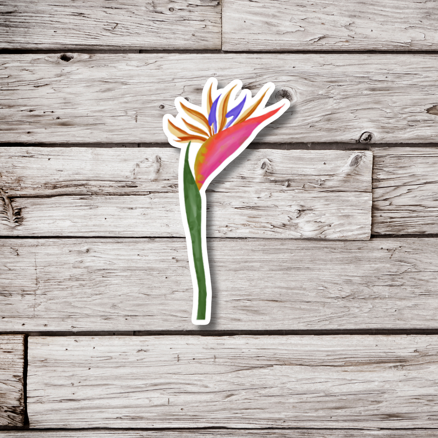 Bird of Paradise Sticker