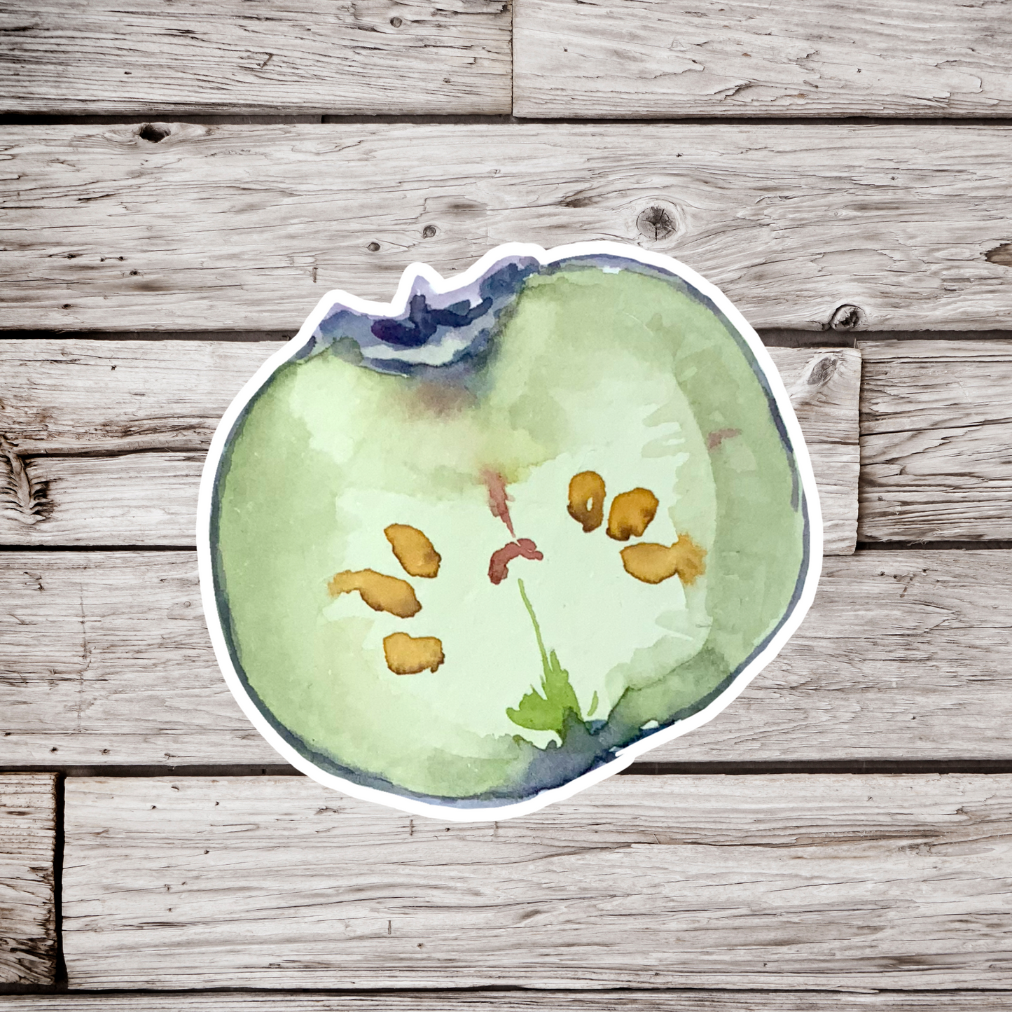 Blueberry Sticker