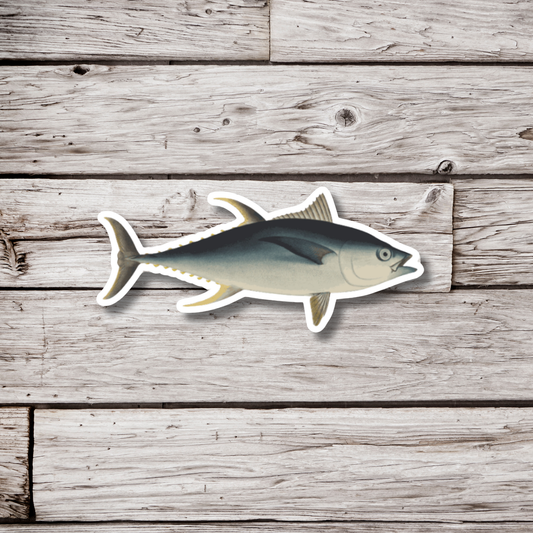 Bluefin Tuna Sticker