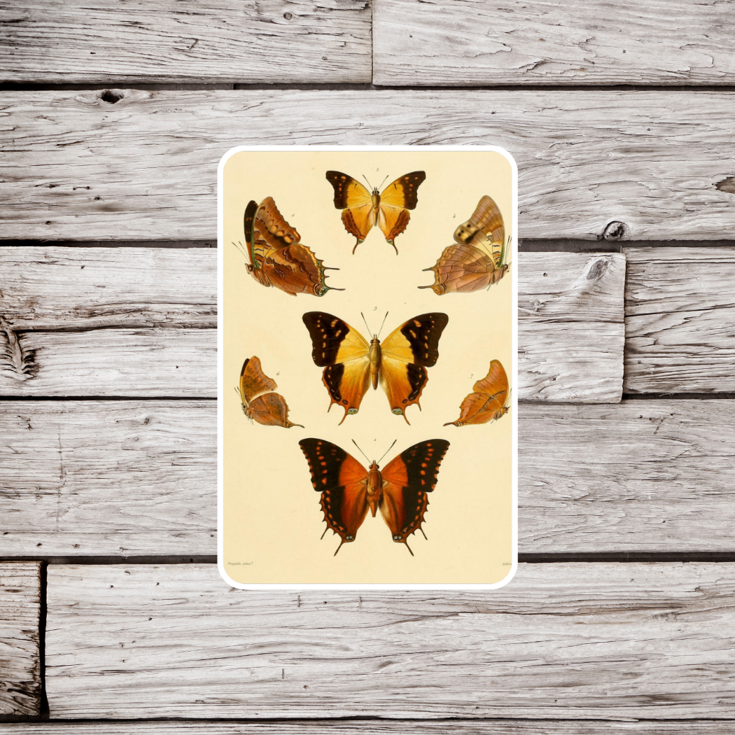 Butterfly Sticker
