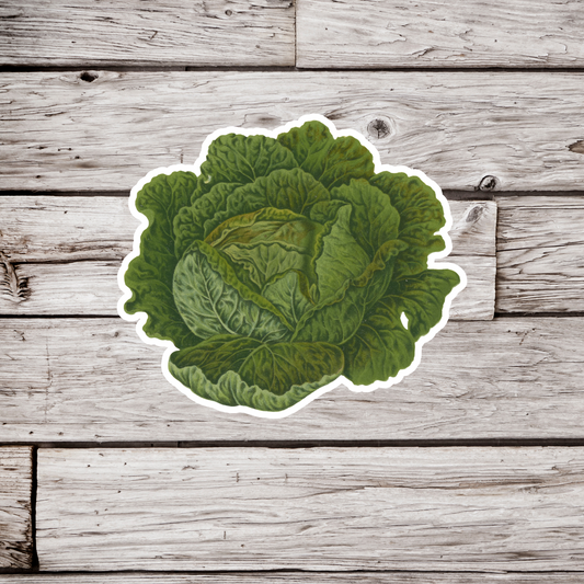 Cabbage Sticker