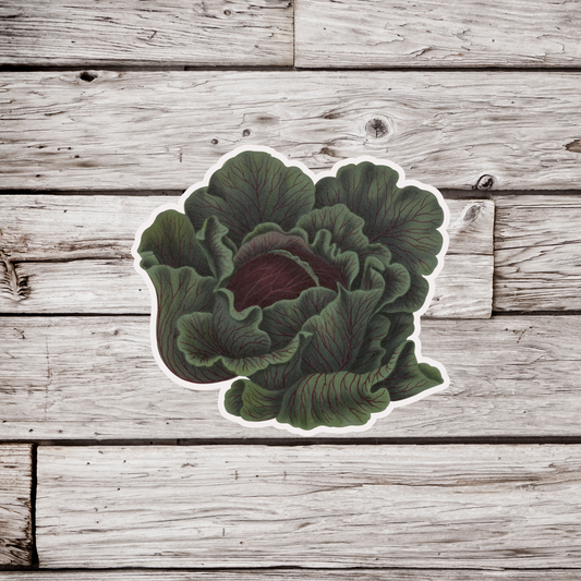 Cabbage Sticker