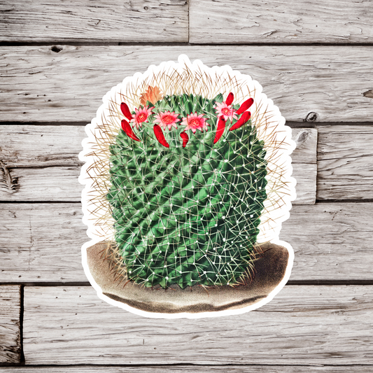 Cactus Sticker