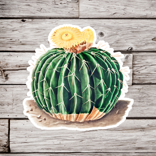 Cactus Sticker