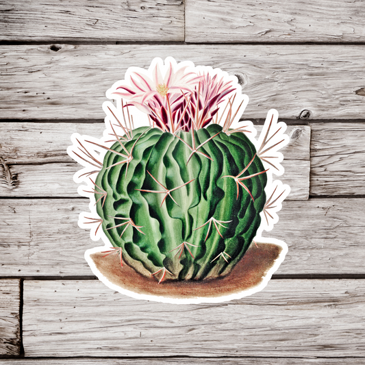 Cactus Sticker