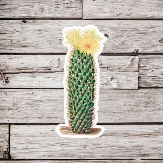 Cactus Sticker
