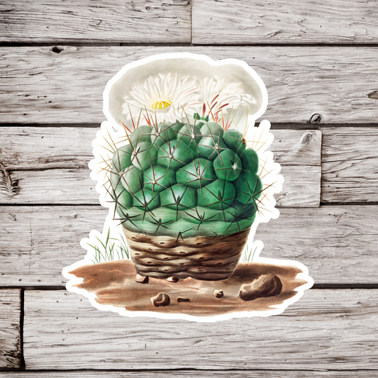 Cactus Sticker