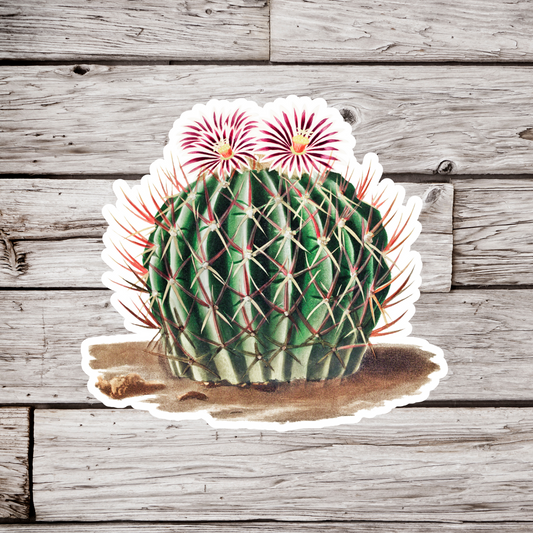Cactus Sticker
