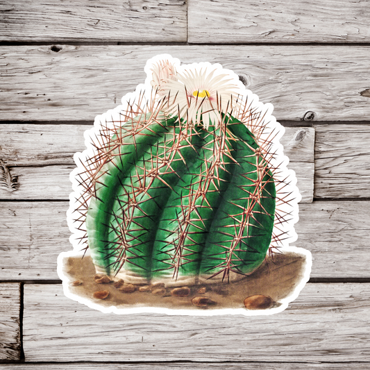 Cactus Sticker