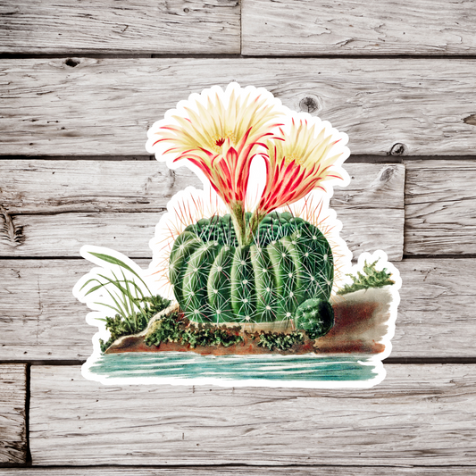 Cactus Sticker