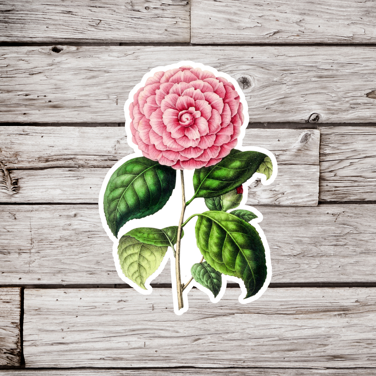 Camilla Flower Sticker