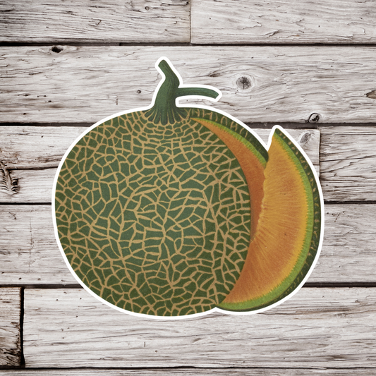 Cantaloupe Sticker