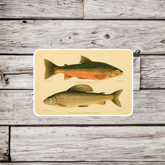 Char Sticker, Graying Sticker