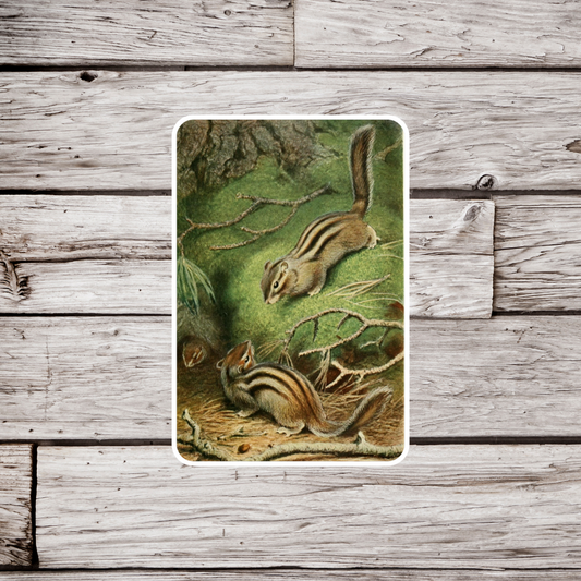 Chipmunk Sticker
