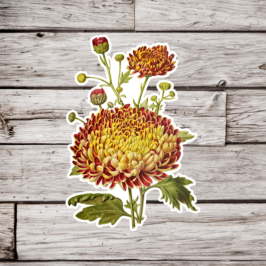 Chrysanthemum Flower Sticker