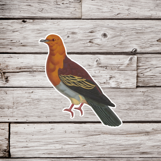 Cinnamon Headed Green Pigeon Sticker