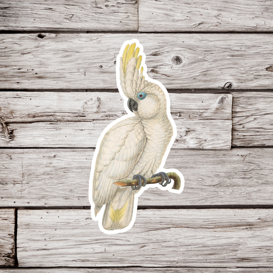 Cockatoo Sticker