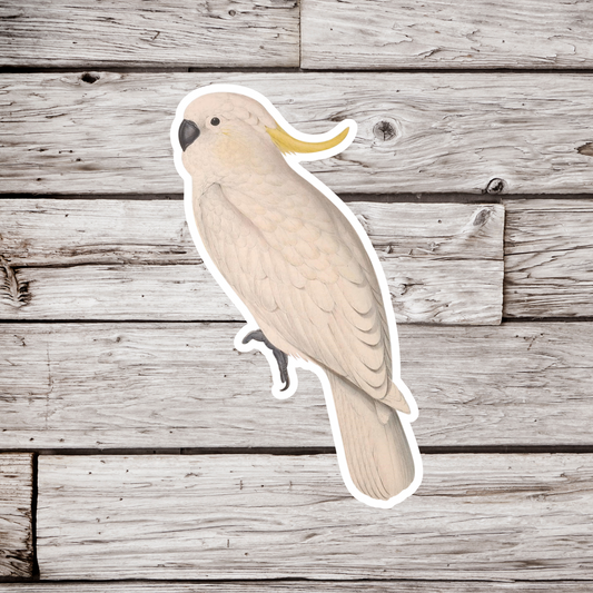 Cockatoo Sticker